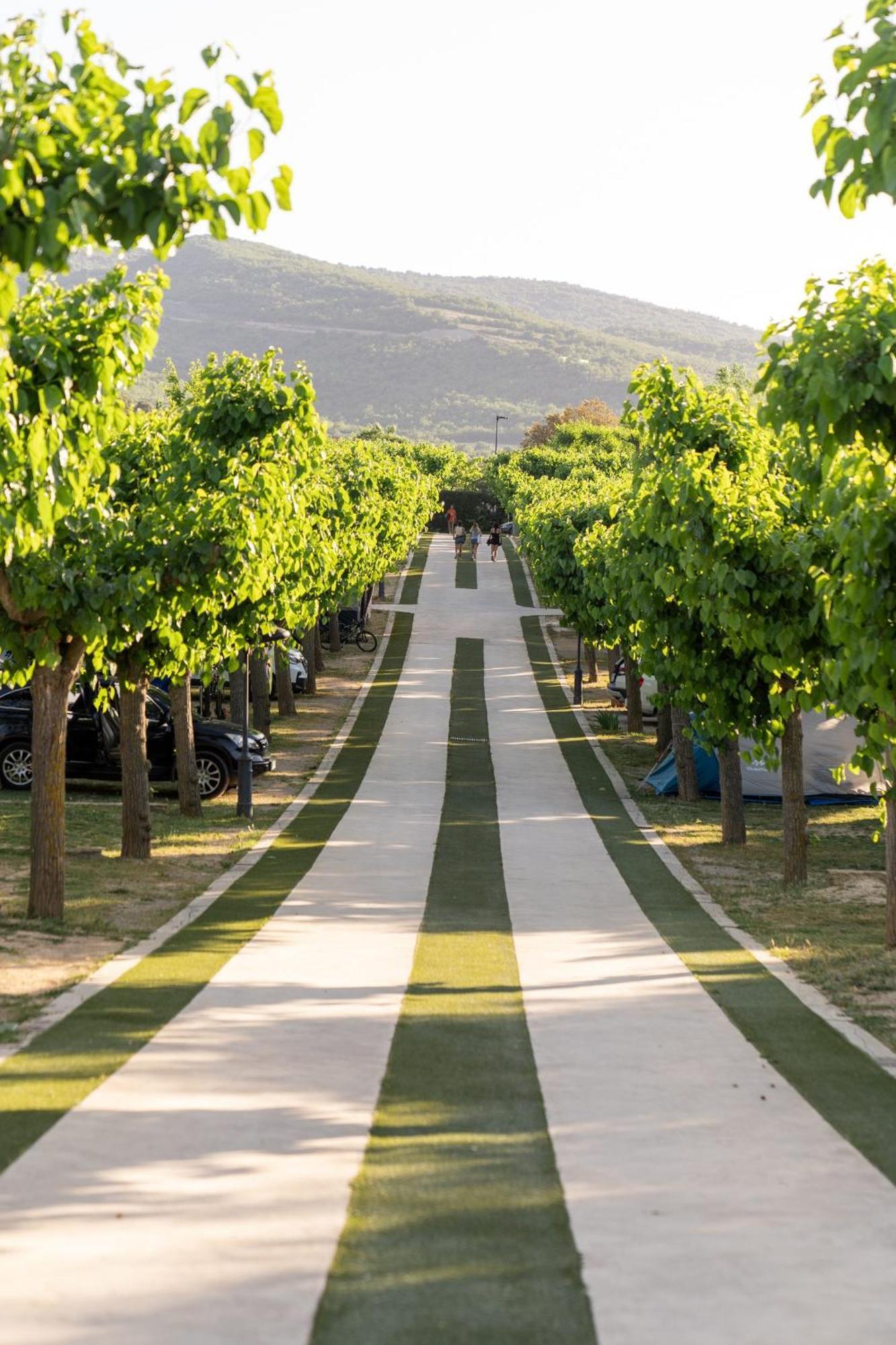 Vall D'Ager Resort & Camping Exterior photo